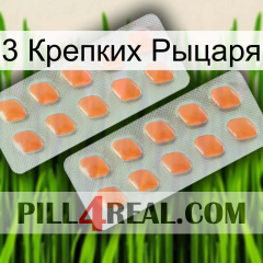 3 Крепких Рыцаря 27